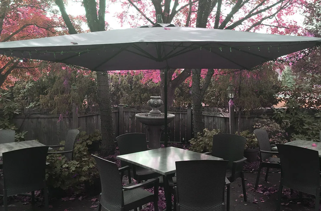The Patio